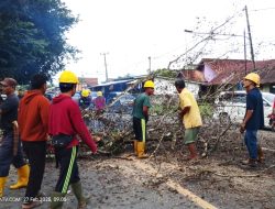 Meminimalisir Kecelakaan, Warga Desa Lembak Gotong Royong Melakukan Kegiatan Penebangan Pohon.