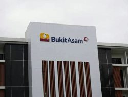 Saat Ini Target Harga Saham PTBA di Bawah Level.