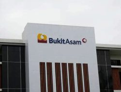 Laba Bersih PTBA Terjadi Penurunan 59 Persen Menjadi 0,83 Triliun.