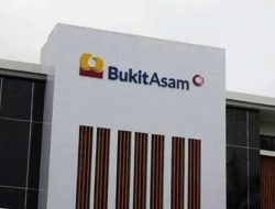 PT Bukit Asam Tbk Semakin Tertekan, Jadi Korban Program Biodiesel B40.