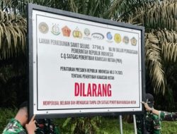 Satgas PKH Kembali Ambil Alih 674.000 Hektare Sawit Ilegal Di 15 Provinsi.